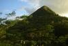 Randonnées a Chamarel avec Yemaya Adventures Yemaya Adventures