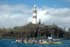 Kayak des mers a Albion Yemaya Adventures