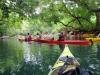 Kayak de Riviere avec Yemaya Adventures Yemaya Adventures