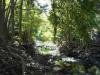 Randonnee avec Yemaya Adventures a l'Ile Maurice Yemaya Adventures Ile Maurice