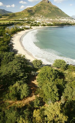 View on Tamarin