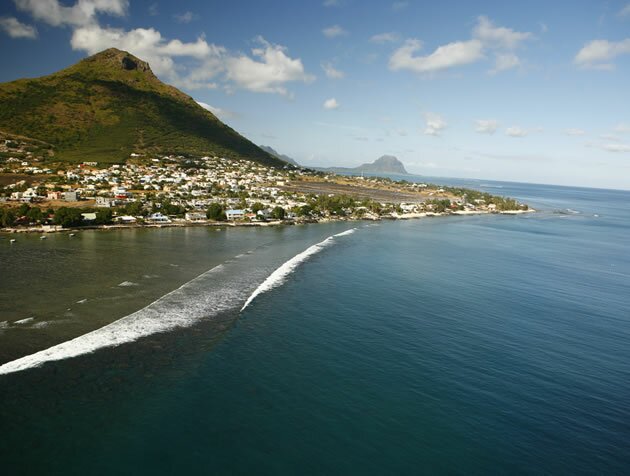 View on Tamarin