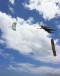 Kite surfing in Mauritius Yoaneye Kite Centre