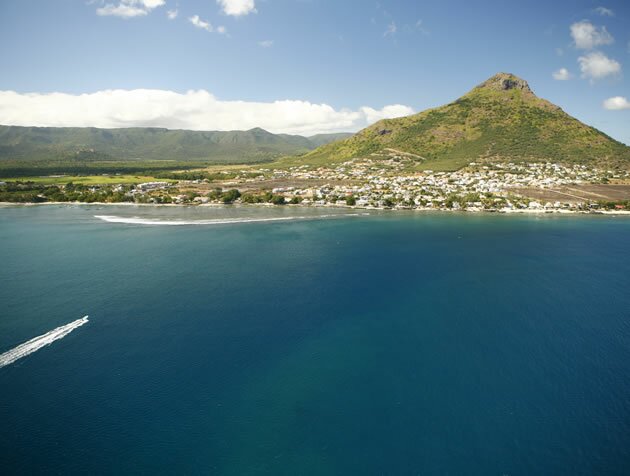 View on Tamarin