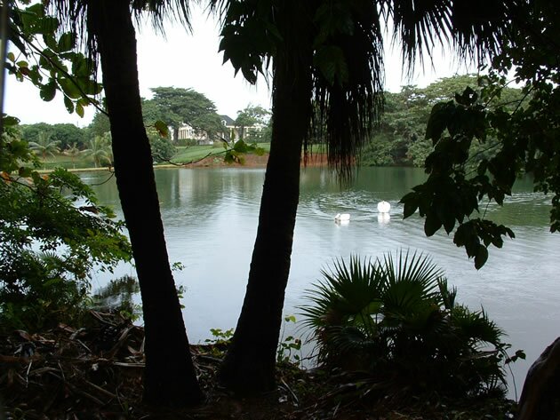Images de L'Ile Maurice