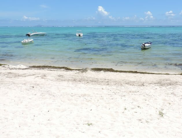 Beach, Villa Morane, Mauritius Villa Morane, Mauritius