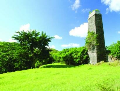 Fr�d�rica Reserve Naturelle, Mauritius