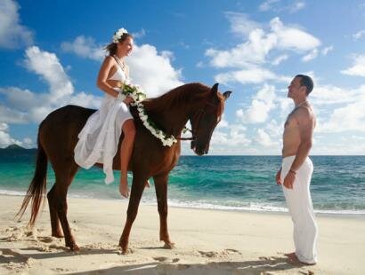 Photographe Professionel de Mariage