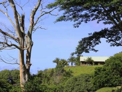 Fr�d�rica Reserve Naturelle, Mauritius