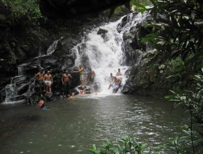 Fr�d�rica Reserve Naturelle, Ile Maurice