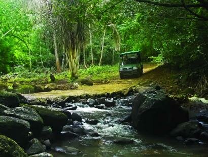 Fr�d�rica Reserve Naturelle, Mauritius