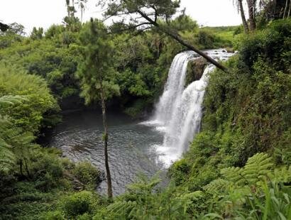 Domaine des 7 Vall�es, Mauritius