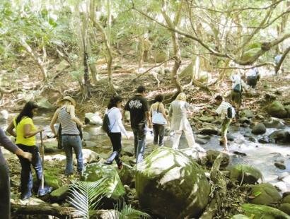 Fr�d�rica Reserve Naturelle, Ile Maurice