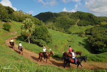Domaine de l'Etoile - Excursions