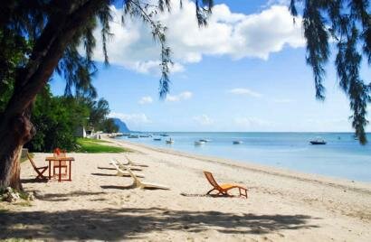 Les Lataniers Bleus Ile Maurice