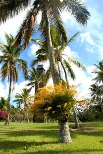 Labourdonnais, a ch�teau in a natural setting