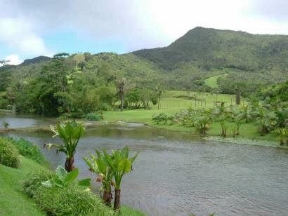 Domaine de l'Etoile Mauritius