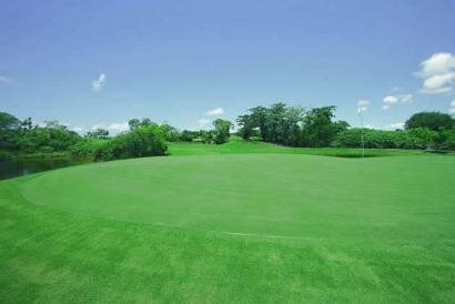 Links Golf Course Mauritius