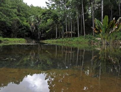 Domaine des 7 Vall�es, Mauritius