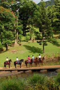 Domaine de l'Etoile - Excursions