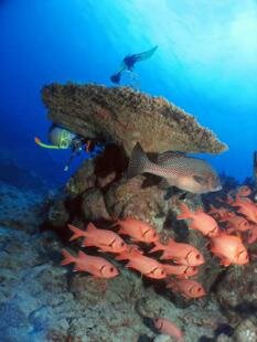 Sun Divers Mauritius