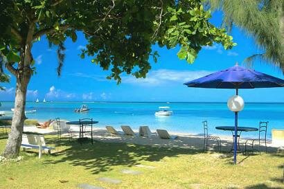 Les Lataniers Bleus Ile Maurice