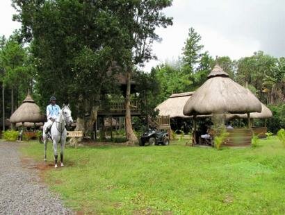 Domaine des 7 Vall�es, Mauritius