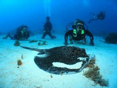 Sun Divers Mauritius