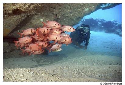 Sun Divers Mauritius