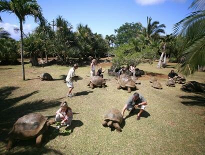 La Vanille R�serve des Mascareignes, Mauritius