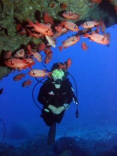 Sun Divers Mauritius