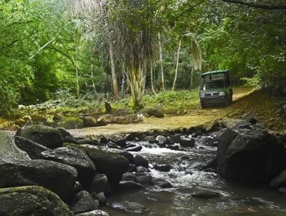 Fr�d�rica Reserve Naturelle, Ile Maurice