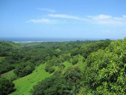 Fr�d�rica Reserve Naturelle, Ile Maurice