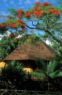 Maison d'H�tes Beau Vallon, Ile Maurice