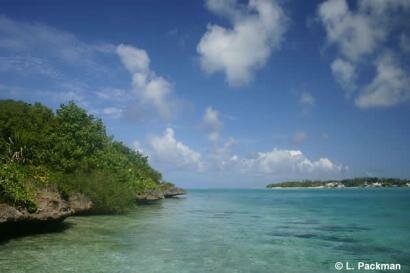 Lagon a l'Ile aux Aigrettes Reserve Naturelle de l'Ile Maurice Ile aux Aigrettes Reserve Naturelle Ile Maurice