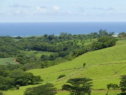 Fr�d�rica Reserve Naturelle, Ile Maurice
