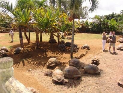 La Vanille R�serve des Mascareignes, Mauritius