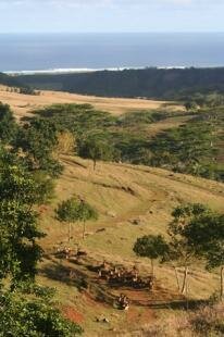 Le Chasseur Mauricien