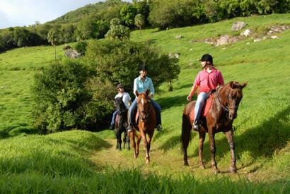 Domaine de l'Etoile - Excursions