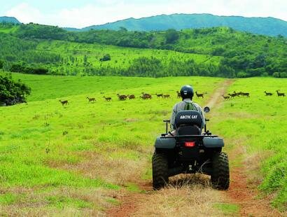 Fr�d�rica Reserve Naturelle, Mauritius