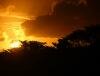 Fr�d�rica Reserve Naturelle, Ile Maurice