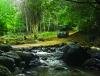 4x4 Discovery Tour Frédérica Reserve Naturelle, Mauritius