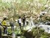 Fr�d�rica Reserve Naturelle, Ile Maurice