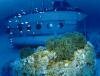 Blue Safari Submarine Ile Maurice