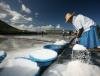 Photos d'Elie Bernager Les salines a Tamarin, Ile Maurice