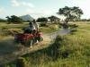 Quad Casela Nature & Leisure Park
