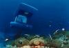 Blue Safari Submarine Mauritius