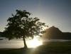 Photos from Elie Bernager Images of Mauritius