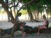 Photos from Elie Bernager Images of Mauritius