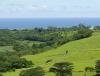 Fr�d�rica Reserve Naturelle, Ile Maurice